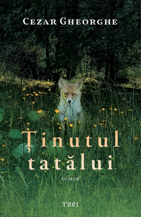 Ținutul tatălui - Cezar Gheorghe